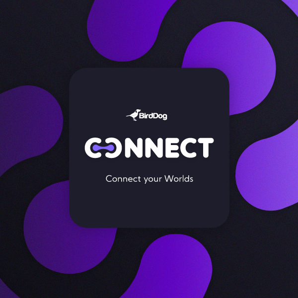 BirdDog Connect Software NDI Tool kostenlos
