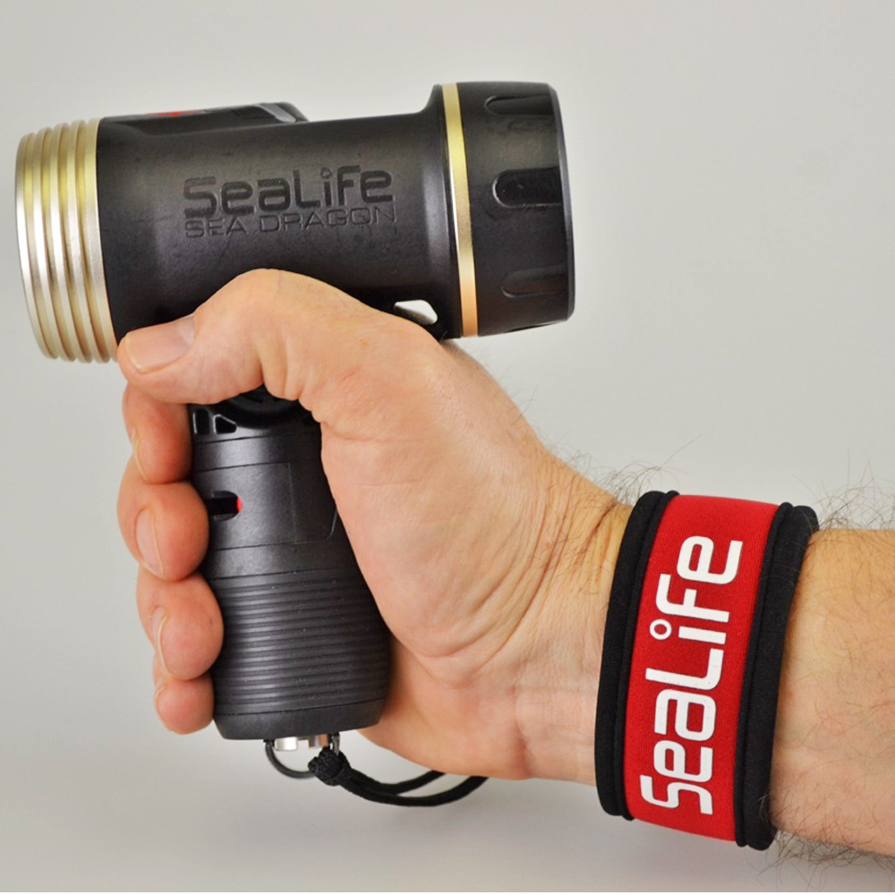SeaLife Flex-Connect D-Ring Edelstahl 1/4-20 Klappring