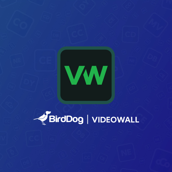 BirdDog VideoWall Software NDI Videowall 2x2 3x3