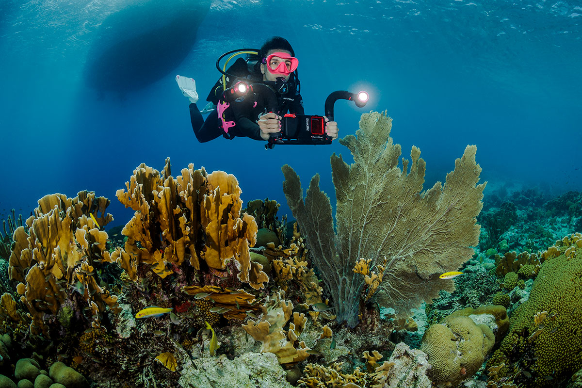 SeaLife Flex-Connect Arm Lampenarm für Tauchkamera 7 Zoll