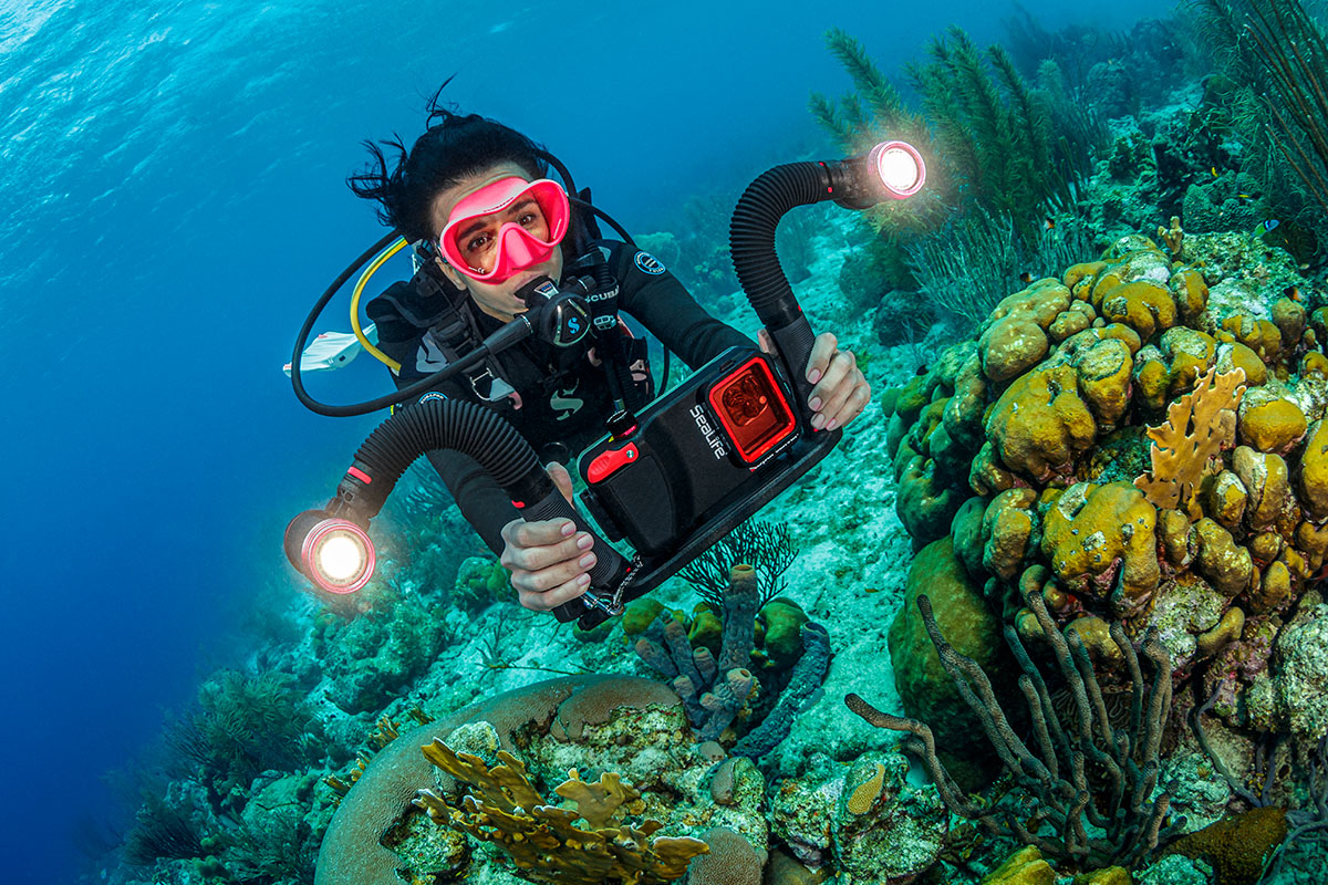 SeaLife Flex-Connect Arm Lampenarm für Tauchkamera 7 Zoll