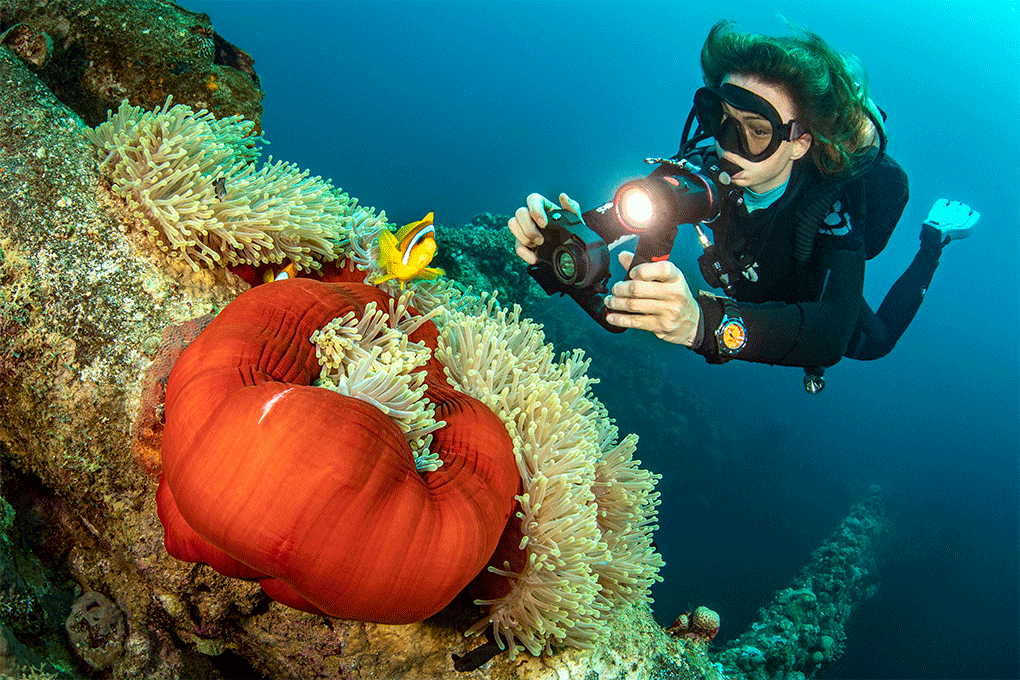 Sealife Micro 3.0 Unterwasserkamera WiFi RAW 100° Weitwinkel