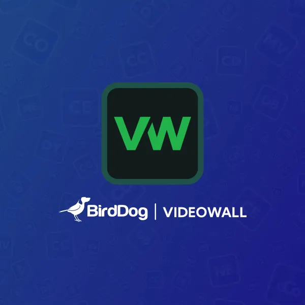 BirdDog VideoWall Software NDI Videowall 2x2 3x3