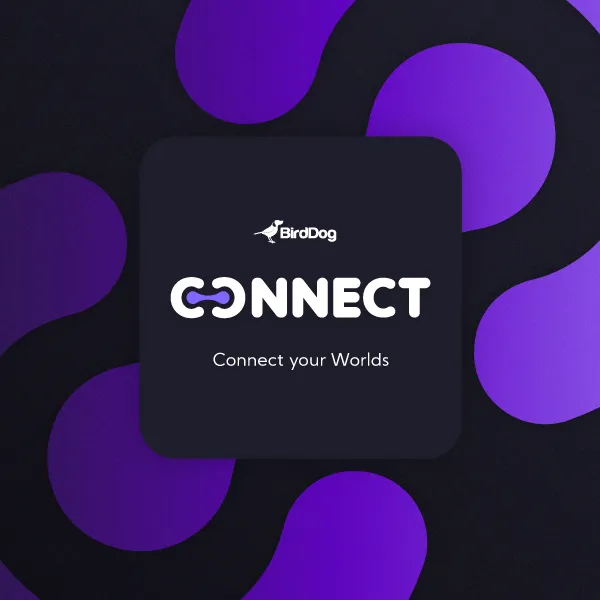 BirdDog Connect Software NDI Tool kostenlos