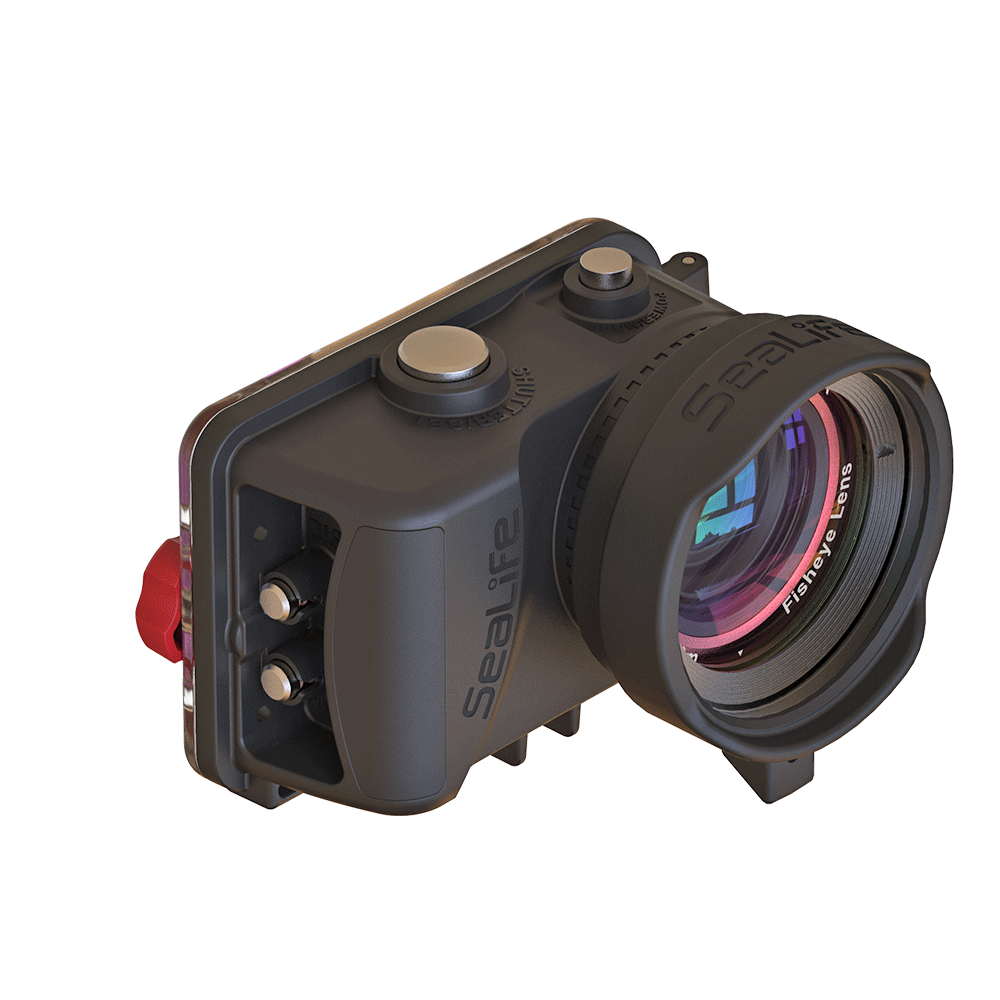 Sealife Lenses Super Macro Objektiv Micro RM-4K Unterwasser